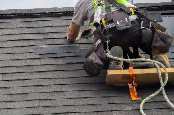 Roof Gutter Cleaning in Eagle Lake, FL